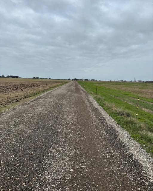 Gravel road cut through open rural ranch land
